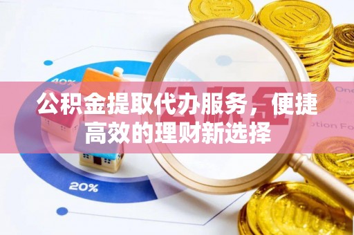 白碱滩公积金提取代办服务，便捷高效的理财新选择
