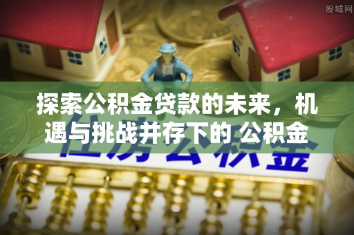 白碱滩探索公积金贷款的未来，机遇与挑战并存下的 公积金贷款风险防控