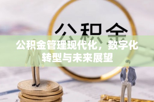 白碱滩公积金管理现代化，数字化转型与未来展望