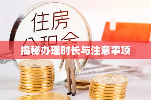 白碱滩揭秘办理时长与注意事项