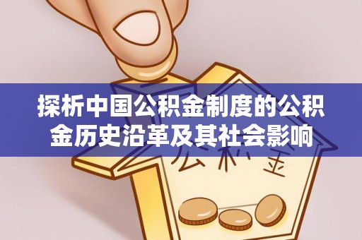 白碱滩探析中国公积金制度的公积金历史沿革及其社会影响