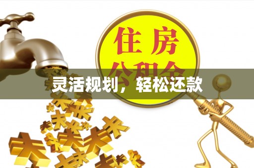 白碱滩灵活规划，轻松还款