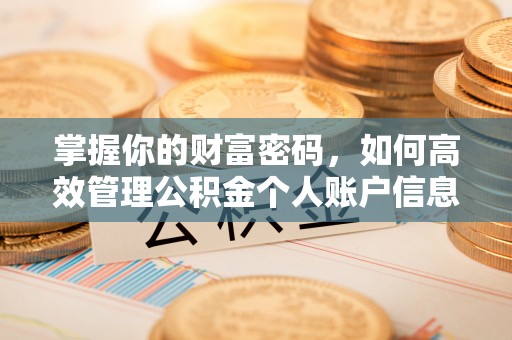 白碱滩掌握你的财富密码，如何高效管理公积金个人账户信息