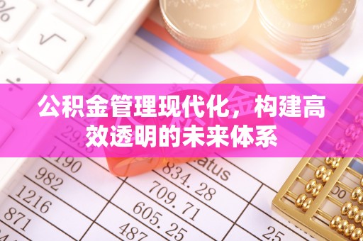 白碱滩公积金管理现代化，构建高效透明的未来体系
