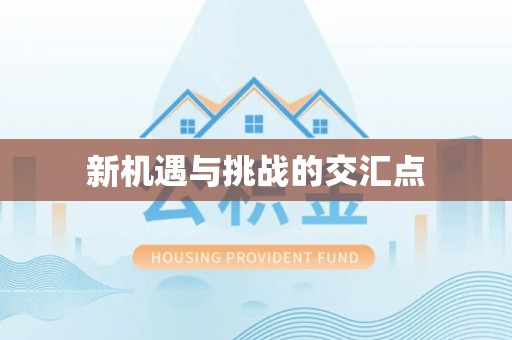 白碱滩新机遇与挑战的交汇点