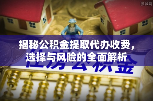 白碱滩揭秘公积金提取代办收费，选择与风险的全面解析
