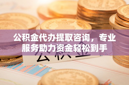 白碱滩公积金代办提取咨询，专业服务助力资金轻松到手