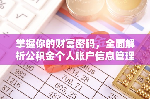 白碱滩掌握你的财富密码，全面解析公积金个人账户信息管理